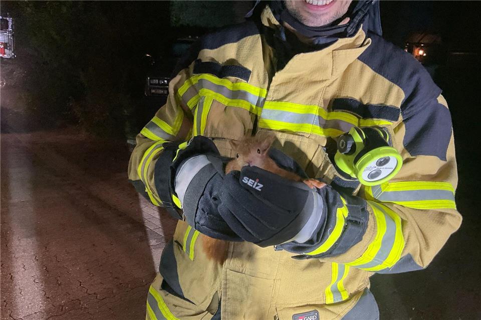 Ein Feuerwehrmann hält ein gerettetes Eichhörnchen in den Händen. Das Tier war in einem Dach steckengeblieben.  Freiwillige Feuerwehr Alpen