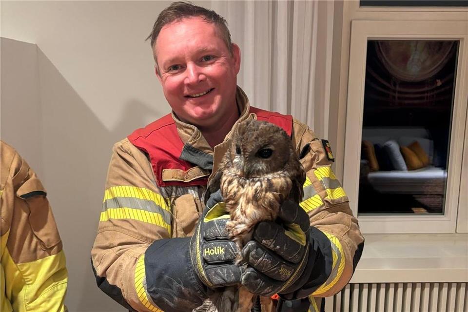 Ein Feuerwehrmann hält eine gerettete Eule in den Händen - der Waldkauz hatte sich in einen Kamin verirrt. -/Feuerwehr Bergisch Gladbach/dpa