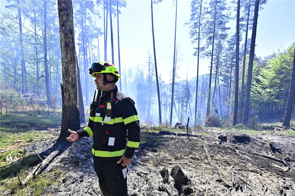 Ein Feuerwehrmann steht in einem Waldgebiet im Nationalpark Böhmische Schweiz. Hájek Ondøej/CTK/dpa