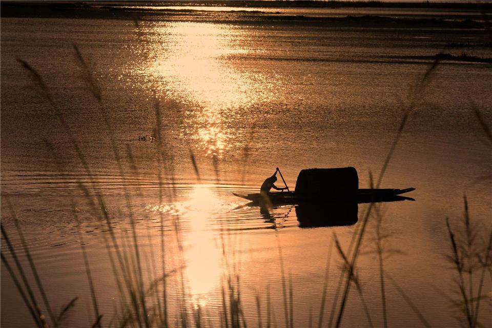 Ein Fischer rudert in einem Boot durch das steigende Wasser auf einem Reisfeld am Stadtrand von Guwahati, Indien.Anupam Nath/AP/dpa