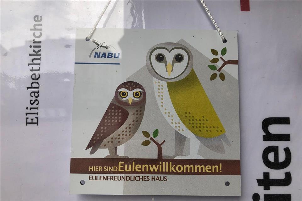 Ein Flyer in einem Schaukasten der Elisabethkirche weist auf die Aktivitäten des Nabu hin. Christine Schultze/dpa