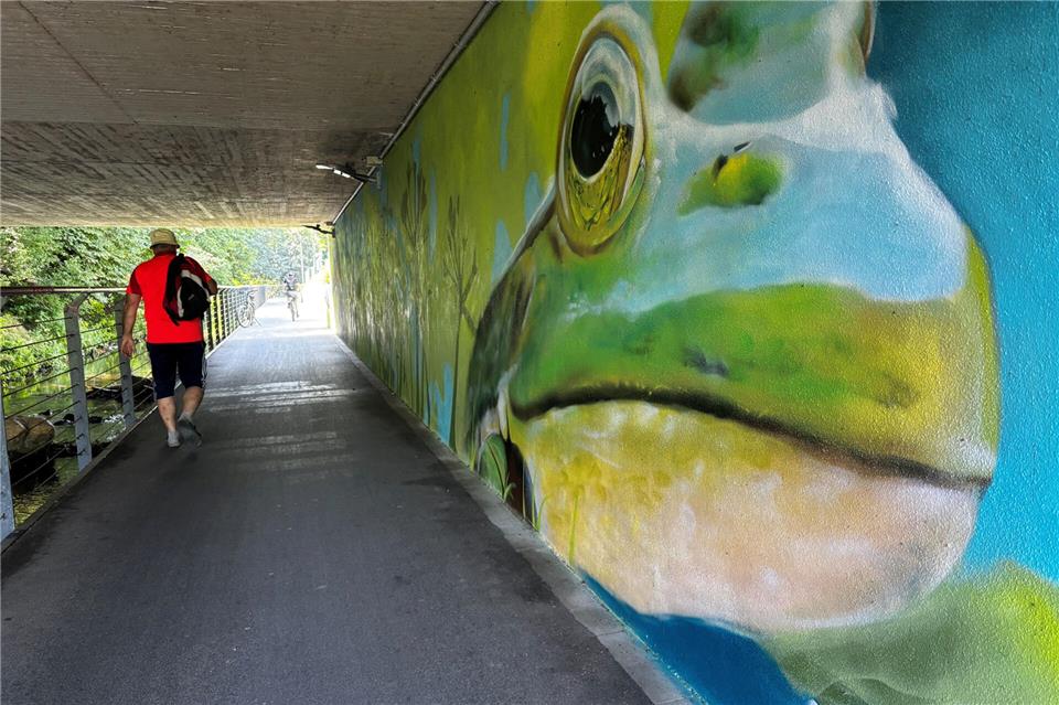Ein Frosch und ein Eisvogel zieren die Wand an der Radwegseite der Nordring-Unterführung.