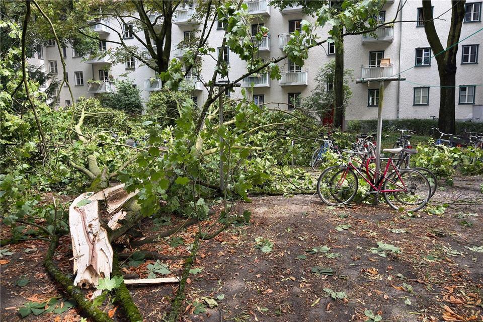 Ein Gewitter sorgte in Berlin für zahlreiche Einsätze der Feuerwehr.Sebastian Gollnow/dpa