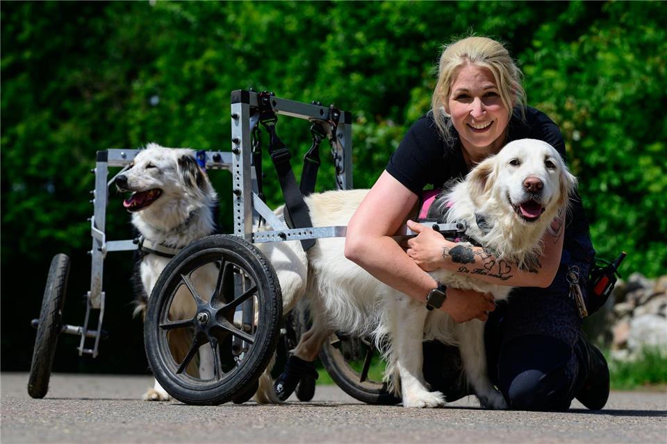 Ein Gnadenhof in der Lüneburger Heide nimmt behinderte und misshandelte Hunde auf. Wegen fehlender Spenden kämpft er um das Überleben.Philipp Schulze/dpa
