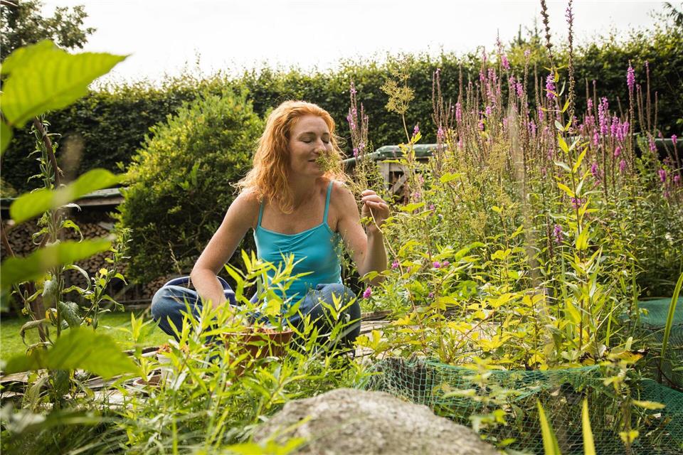 Ein Hauch Wildnis: Dichter Bewuchs schenkt Insekten und kleinen Tieren ein Zuhause.Christin Klose/dpa Themendienst/dpa-tmn