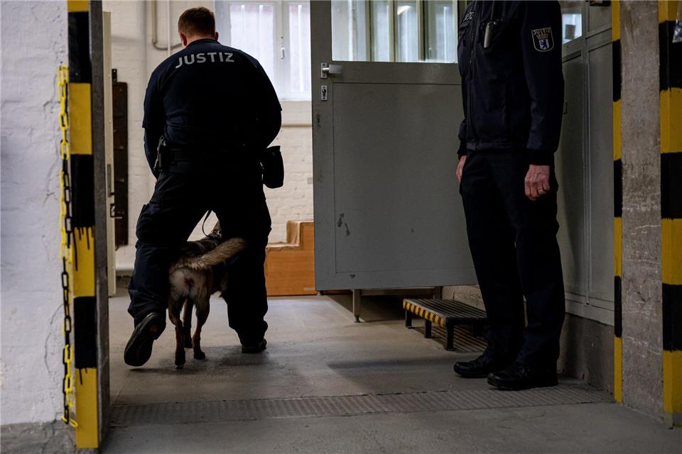 Ein Hund der justizeigenen Hundestaffel läuft mit einem Justizbeamten in der Justizvollzugsanstalt Tegel. (Archivbild) Fabian Sommer/dpa