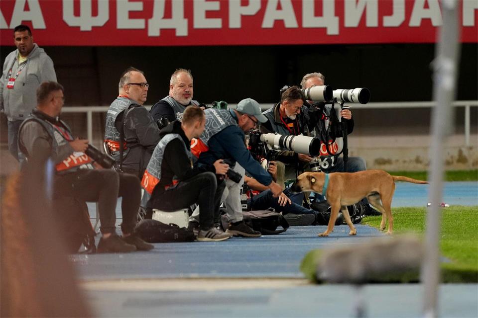 Ein Hund sorgt für aufheiternde Szenen in der Nations League. Andrew Milligan/PA Wire/dpa