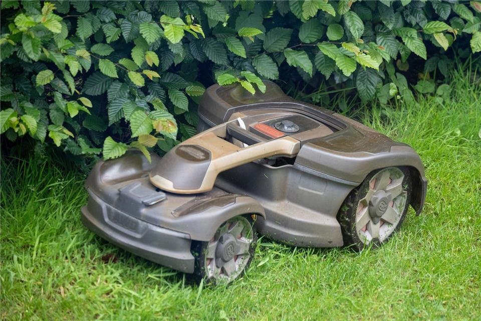 Ein Igel läuft vor einem Mähroboter nicht weg. (Symbolbild)Monika Skolimowska/dpa