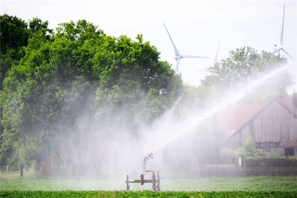Ein Kartoffelfeld wird bewässert – doch die Grundwasserspiegel sinken. (Archivbild)Julian Stratenschulte/dpa