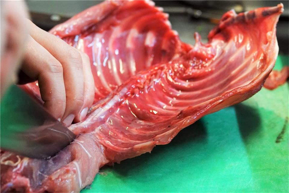 Ein Kochkursteilnehmer schneidet Fleisch von der Karkasse eines Nutria.