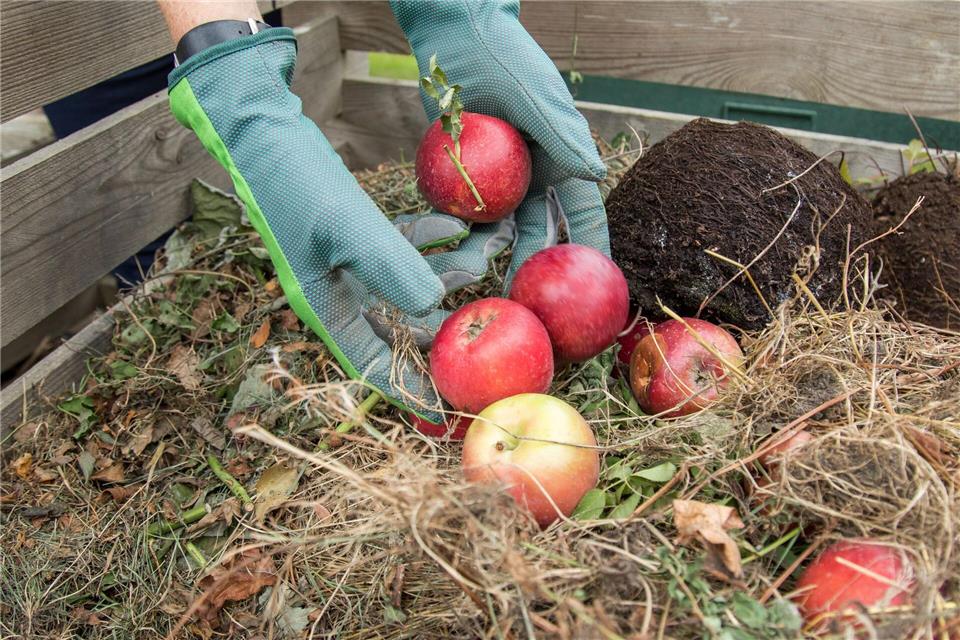 Ein Komposthaufen bietet Nützlingen Nahrung und Schutz und zieht viele Gartenhelfer an.Christin Klose/dpa-tmn