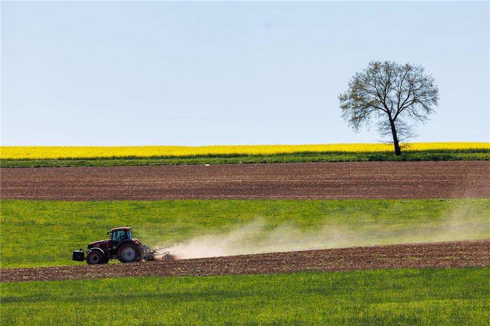 Ein Landwirt ist bei Feldarbeiten mit seinem Traktor verunglückt. (Symbolbild)Daniel Karmann/dpa
