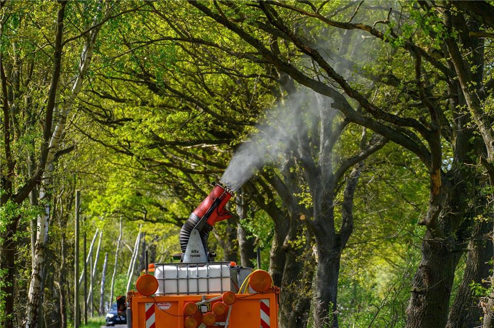 Ein Lastwagen mit einer montierten Sprühkanone bekämpft Eichenprozessionsspinner.Klaus-Dietmar Gabbert/dpa
