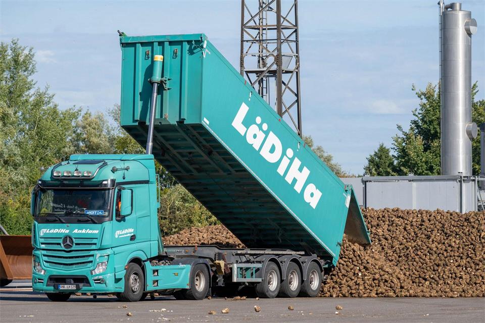 Ein Lkw transportiert auf dem Gelände der Zuckerfabrik in Anklam Zuckerrüben zum Rübenplatz. Mit dem Start der Rübenkampagne geht die Zuckerfabrik in Anklam am selben Tag wieder in ihre mehrmonatige Verarbeitungsphase von Zuckerrüben. Stefan Sauer/dpa