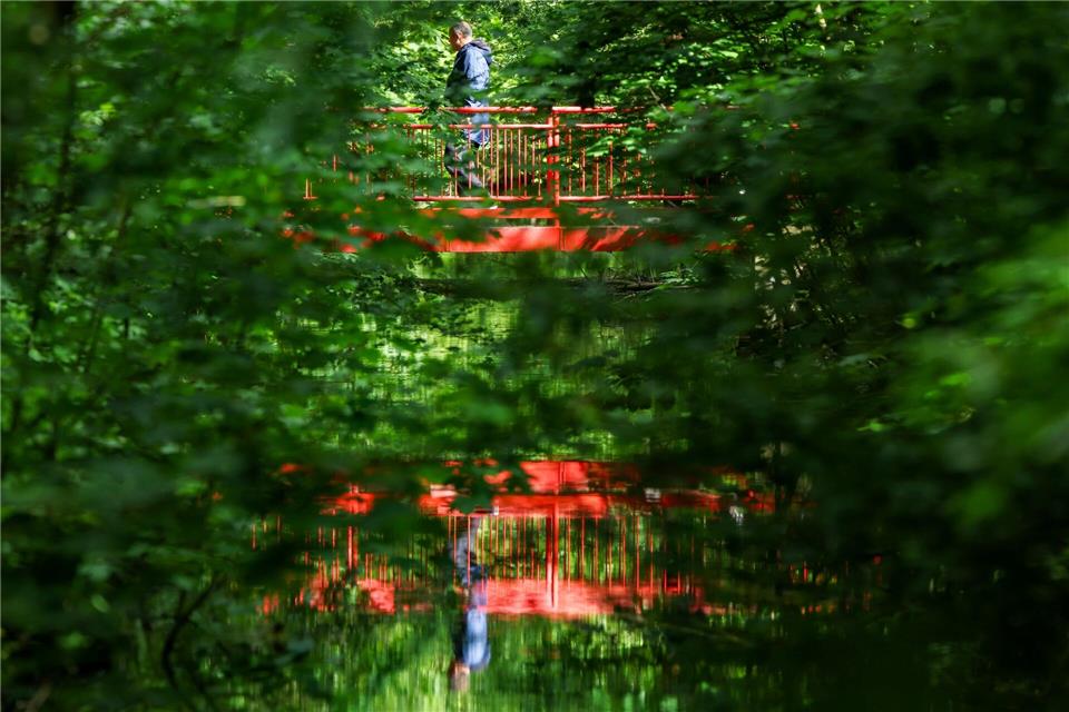 Ein Mann geht in einem Wald über eine rote Brücke, die über einem Bach verläuft. Im Wasser spiegelt sich die Situation. Das Wetter bietet die nächsten Tage einen Mix aus Sonne, Wolken, Regen und Wind.Christoph Reichwein/dpa