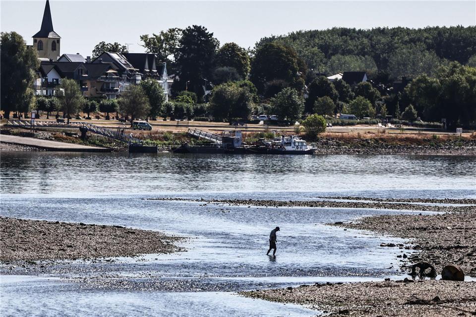 Ein Mann geht nahe der Herseler Warth zwischen Sandbänken durch den Rhein. Oliver Berg/dpa