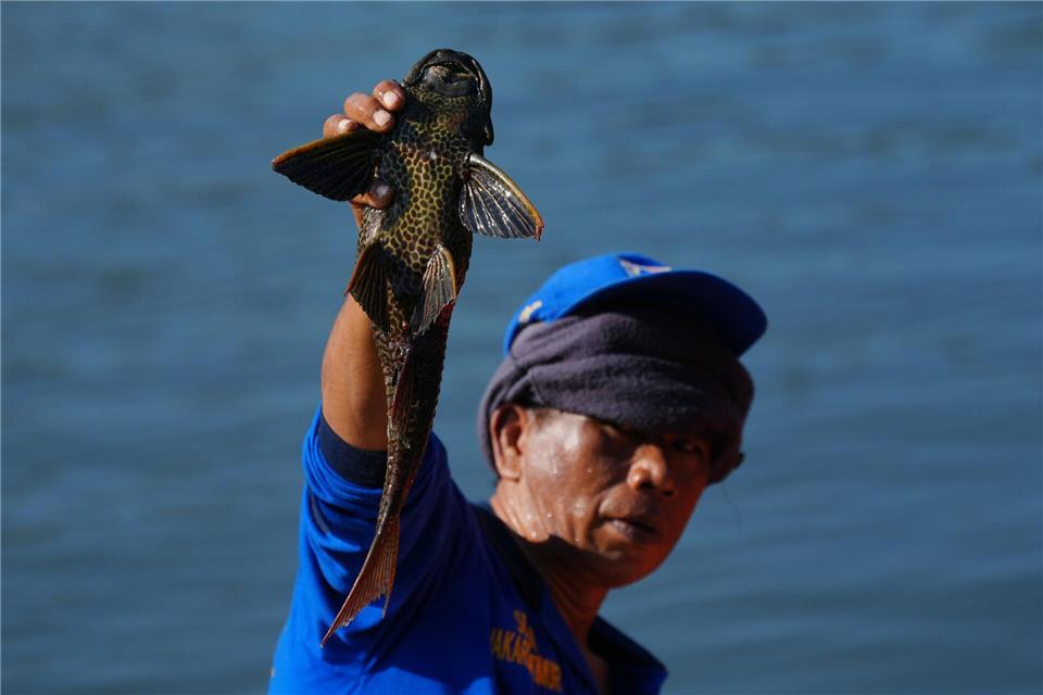 Ein Mann hält einen Harnischwels hoch, den er während einer Aktion zur Entfernung invasiver Arten aus den Flüssen, Kanälen und Wasserreservoirs der indonesischen Hauptstadt Jakarta gefangen hat.Tatan Syuflana/AP/dpa