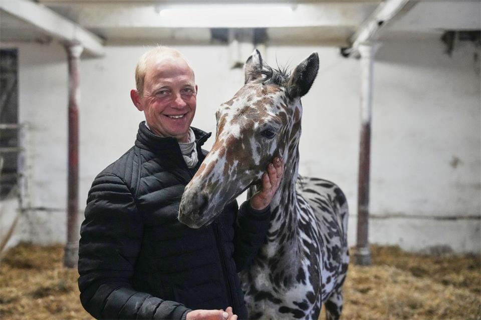 Ein Mann und sein Zebra? Nein: Es ist ein Pferd. Sven Kaeuler/dpa