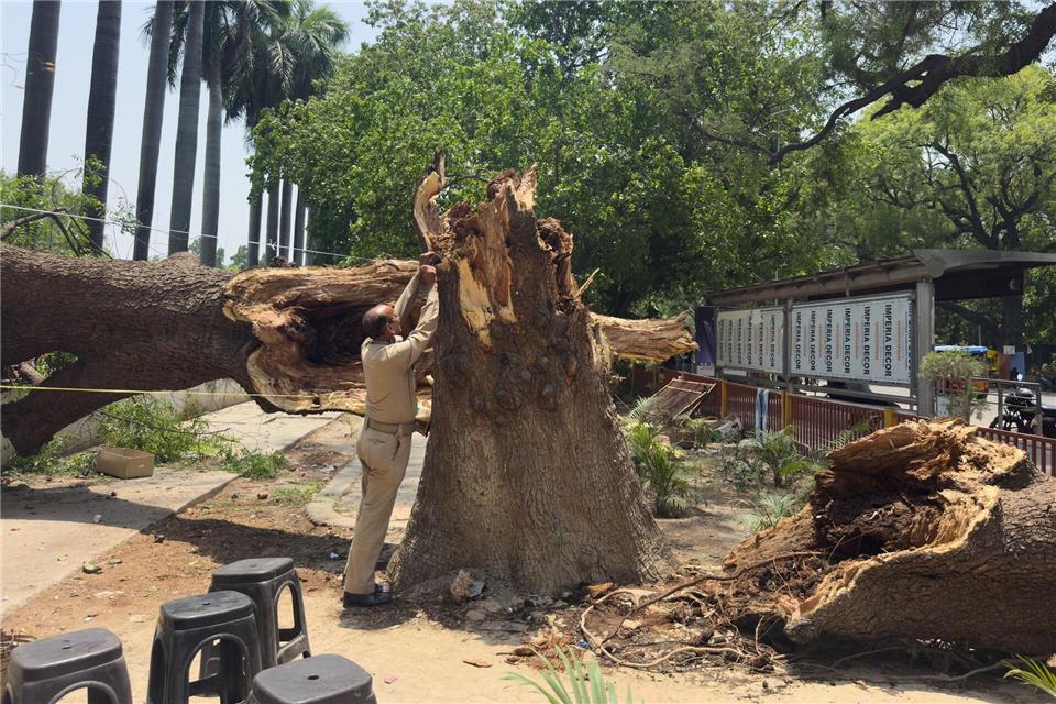 Ein Mitglied der Zivilschutzorganisation bindet ein Seil an einen umgestürzten Baum, um nach Stürmen und starken Regenfällen eine Notunterkunft zu errichten.Rajesh Kumar Singh/AP/dpa
