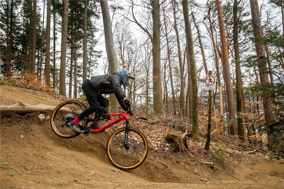 Ein Mountainbiker fährt mit seinem Fahrrad einen Trail herunter. (Symbolbild)Philipp von Ditfurth/dpa