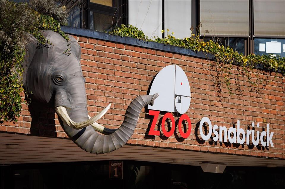 Ein Nandu ist im Zoo Osnabrück gestorben, bei einer ersten Untersuchung wurde der Vogelgrippevirus festgestellt. (Archivbild)Friso Gentsch/dpa