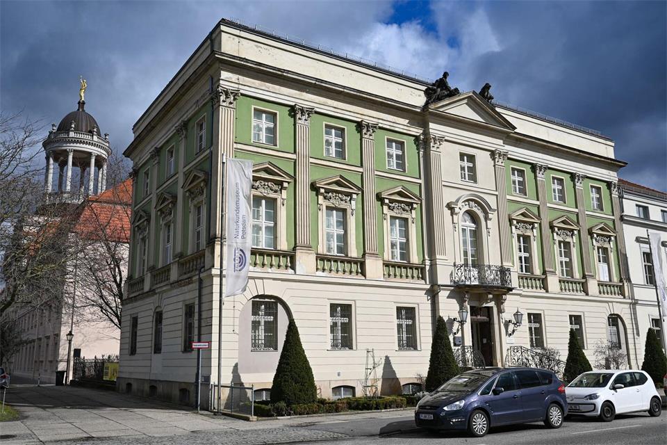 Ein Pilzexperte spricht im Naturkundemuseum in Potsdam. (Archivbild)Patrick Pleul/dpa-Zentralbild/ZB