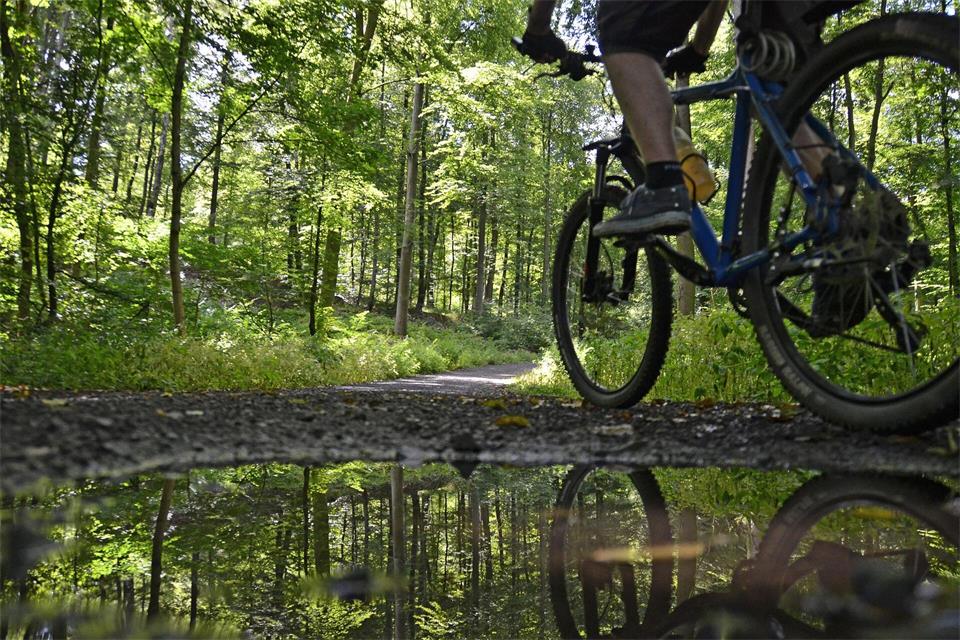 Ein Radfahrer entdeckte die vermeintliche Bombe im Wald. (Symbolbild)picture alliance / dpa