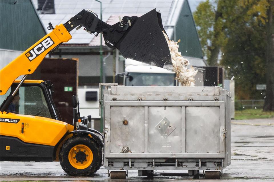 Ein Radlader lädt totes Geflügel in einen Container.Christophe Gateau/dpa