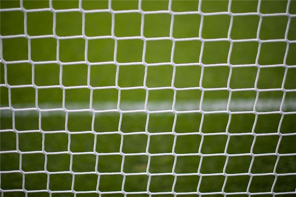 Ein Rehbock hat sich in einem Fußballtornetz verfangen. (Symbolbild)picture alliance / dpa