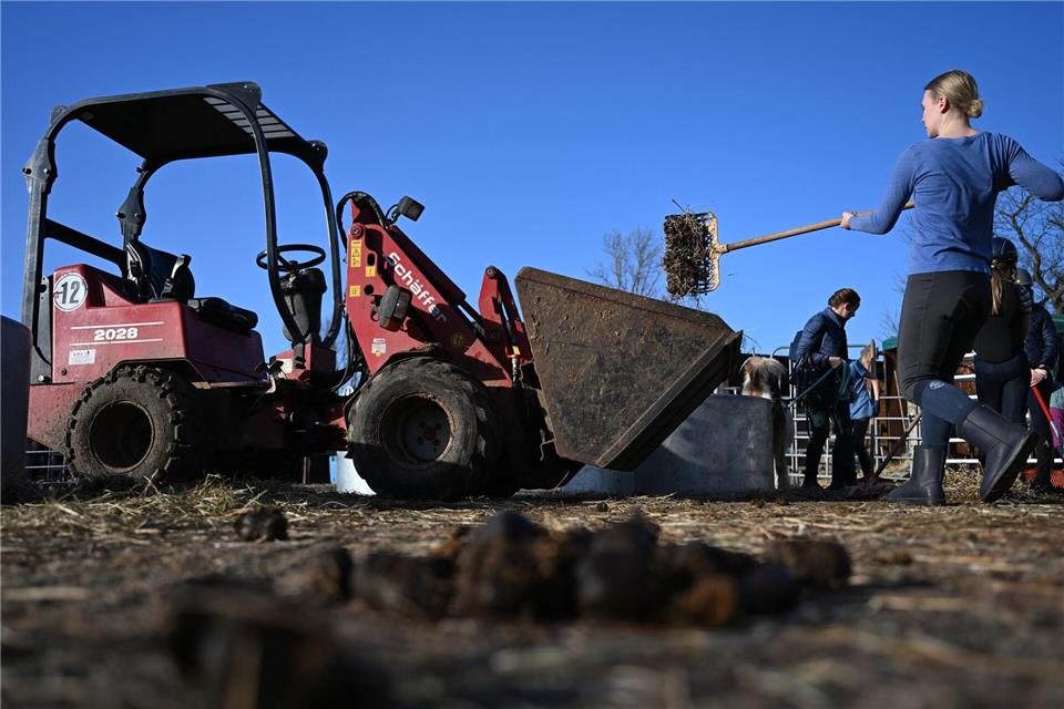 Ein Reitverein in Berlin wurde durch einen gefälschten Verkauf eines Radladers um 17.000 Euro betrogen.Markus Lenhardt/dpa