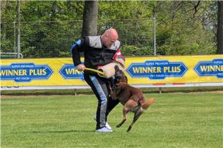 Ein Scheintäter musste bei einem vorgetäuschten Fluchtversuch von den Hunden aufgehalten werden.