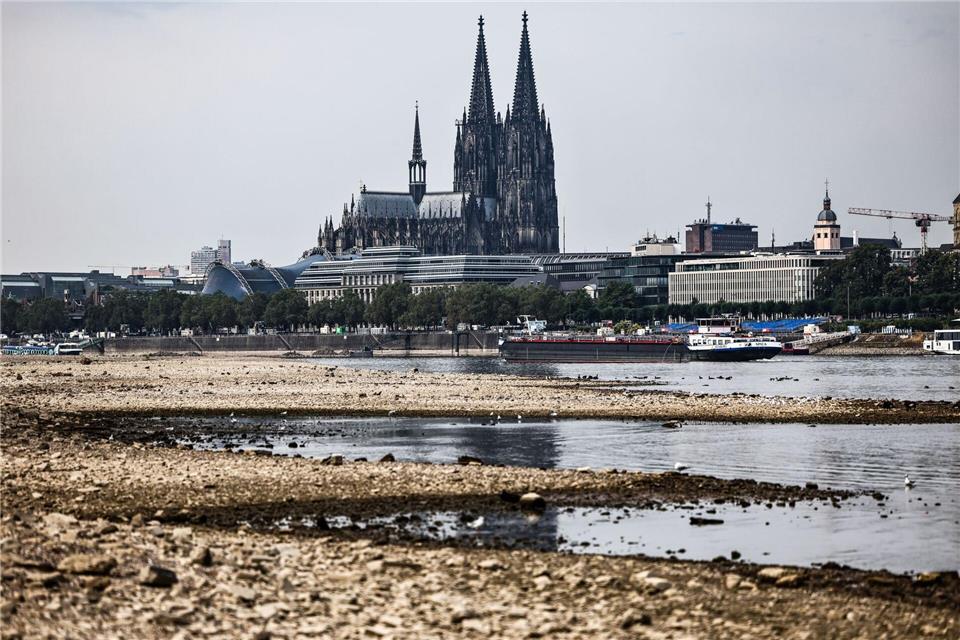 Ein Schiff fährt bei niedrigem Pegelstand am Dom vorbei. (Archivbild)Oliver Berg/dpa