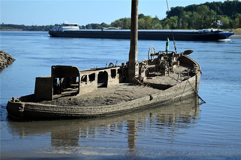 Ein Schiffswrack ist am Rhein zu sehen. Federico Gambarini/dpa