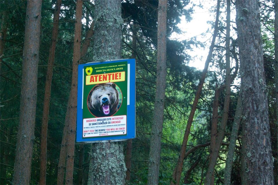 Ein Schild warnt vor Bären am Rande einer Bergstraße in den Karpaten. (Archivbild)Kathrin Lauer/dpa