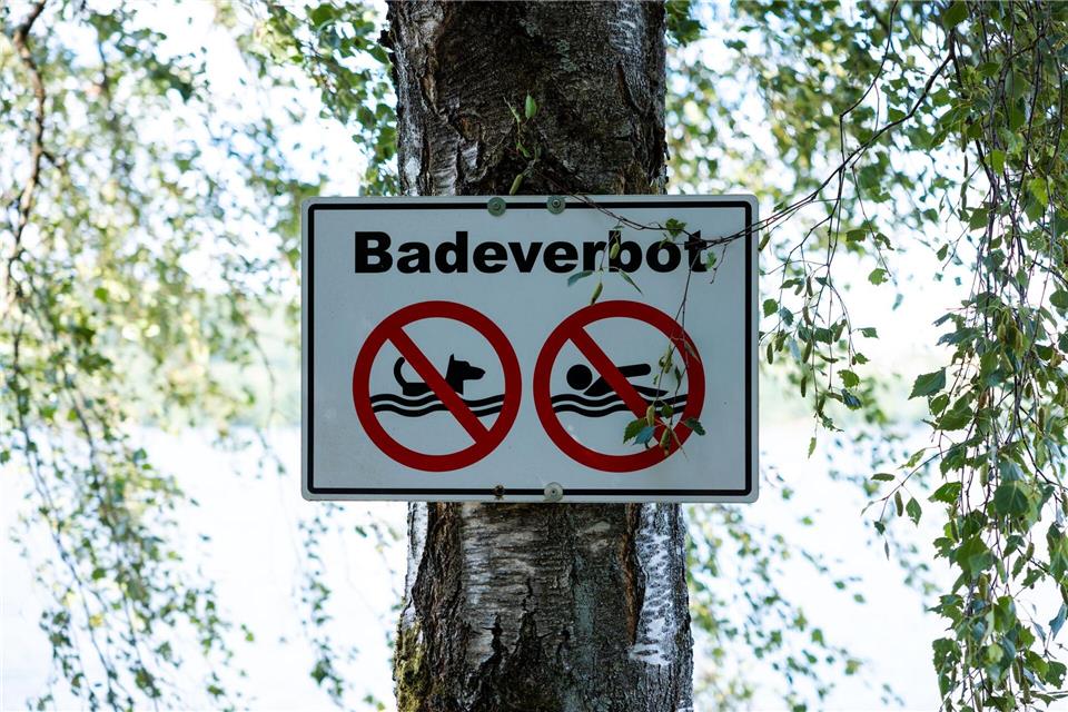 Ein Schild weist auf das Badeverbot in dem gekennzeichneten Bereich hin. Schwimmen ist am Bostalsee nicht überall erlaubt. (Archivbild)Laszlo Pinter/dpa