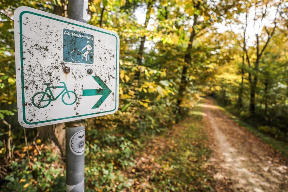 Ein Schild weist auf einen Fahrradweg hin. (Symbolbild)Christoph Schmidt/dpa