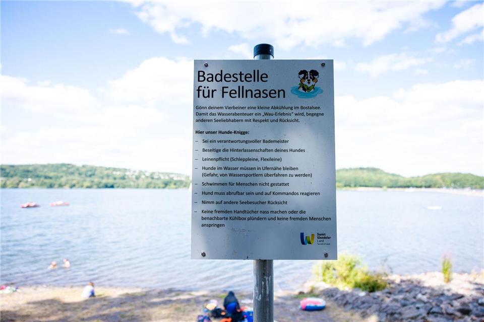 Ein Schild weist einen für Hunde (Fellnasen) reservierten Strandabschnitt aus.  Laszlo Pinter/dpa