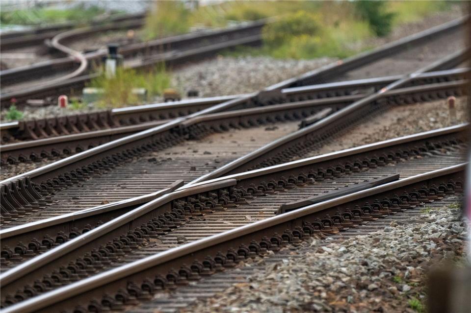 Ein Schwan hatte die Gleise blockiert. (Symbolbild)Stefan Sauer/dpa