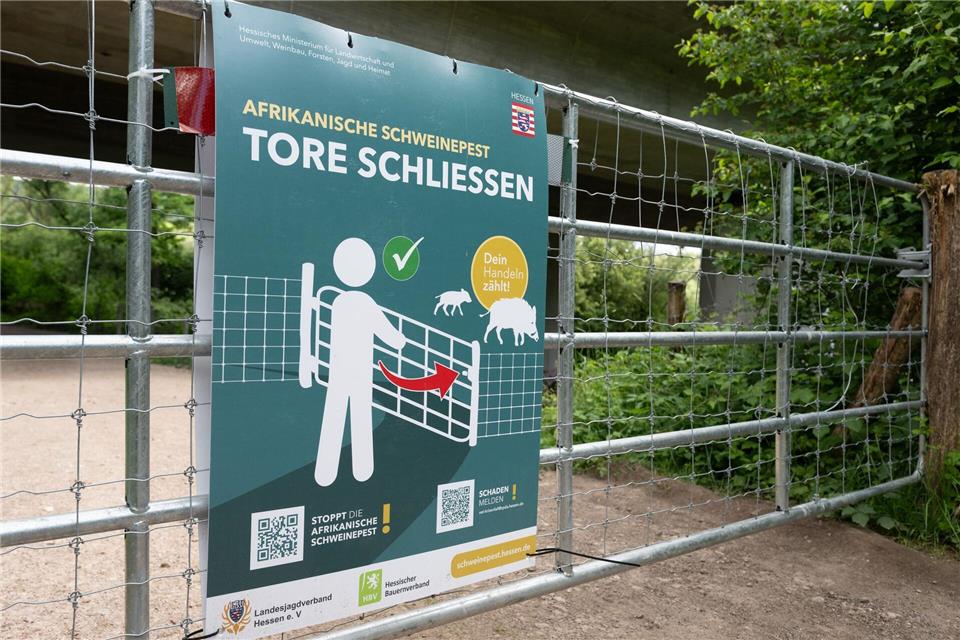 Ein Sperrtor auf einem Landwirtschaftsweg und ein entsprechendes Schild sollen dabei helfen, die Ausbreitung der Schweinepest zu verhindern. Boris Roessler/dpa