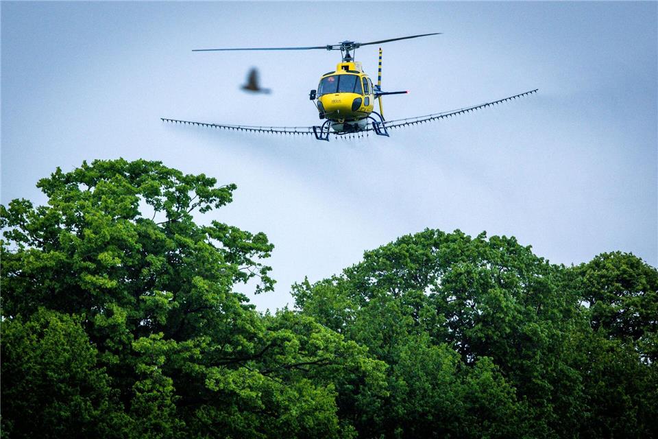 Ein Spezialhubschrauber versprüht über einer Allee ein biologisches Insektizid gegen den Eichenprozessionsspinner.Jens Büttner/dpa