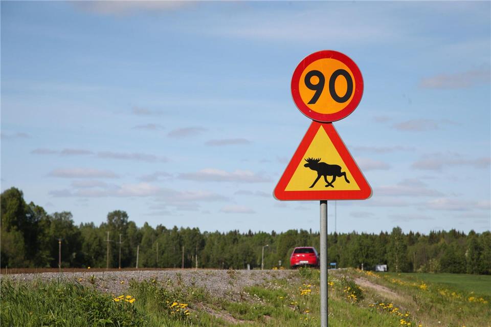 Ein Straßenschild warnt im Norden von Schweden vor Elchen. (Illustration)Steffen Trumpf/dpa