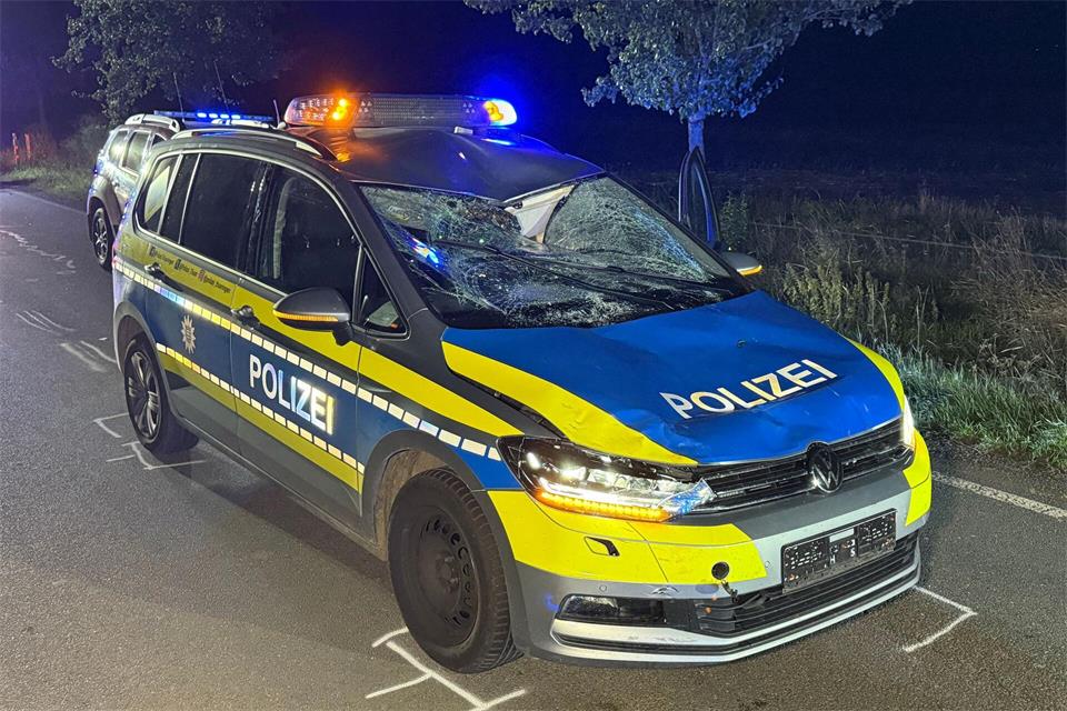 Ein Streifenwagen der Polizei war in den tödlichen Unfall verwickelt. Silvio Dietzel/dpa