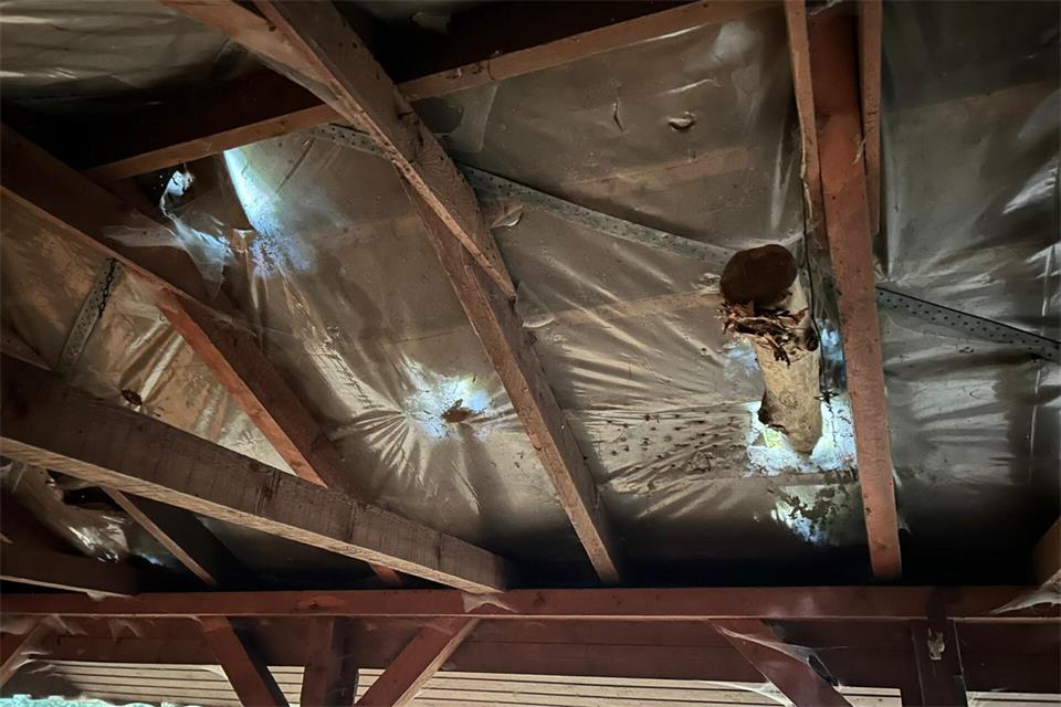 Ein Teil des Baumstamms ragte in das Innere der Hütte.