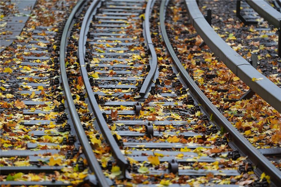 Ein Teilabschnitt der Hamburger U-Bahn-Linie U1 wird für mehrere Wochen gesperrt. (Archivbild)Marcus Brandt/dpa