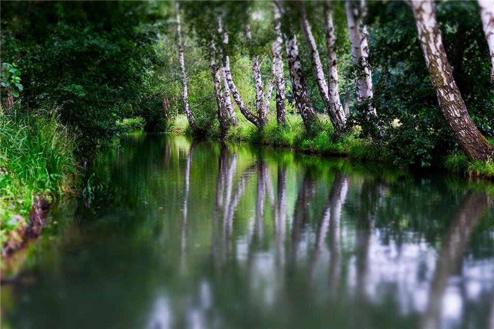Ein Test für den Hochwasserschutz ist in diesem Jahr bei Burg im Spreewald in den Gewässern geplant. (Archivbild)Jens Kalaene/dpa-Zentralbild/ZB
