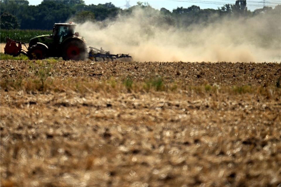 Ein Traktor zieht auf dem Feld eine dicke Staubwolke hinter sich her. (Archivbild)Federico Gambarini/dpa