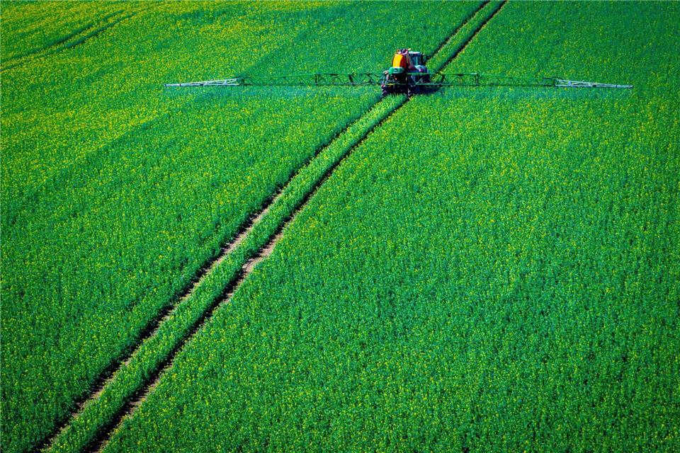 Ein Traktor zieht eine Spritzmaschine über ein RapsfeldJens Büttner/dpa