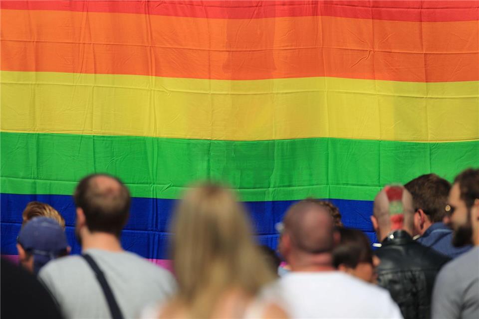 Ein Transparent in Regenbogenfarben. (Archivfoto)Jens Wolf/dpa-Zentralbild/dpa