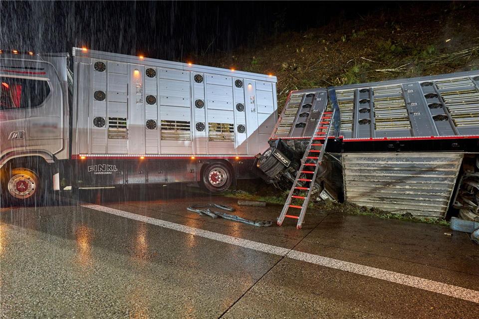 Ein Transporter mit rund 40 Rindern verunglückte am Morgen auf der A3.Sascha Ditscher/dpa