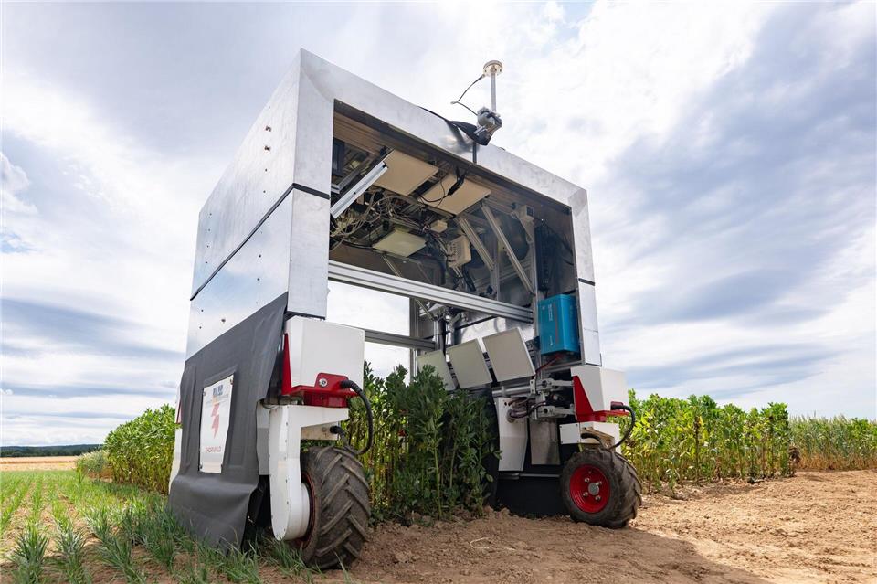 Ein U-förmiger Agrarroboter erstellt am Campus Klein-Altendorf, einem landwirtschaftlichen Außenlabor der Universität Bonn, 3D-Modelle einzelner Pflanzen. Benjamin Westhoff/dpa